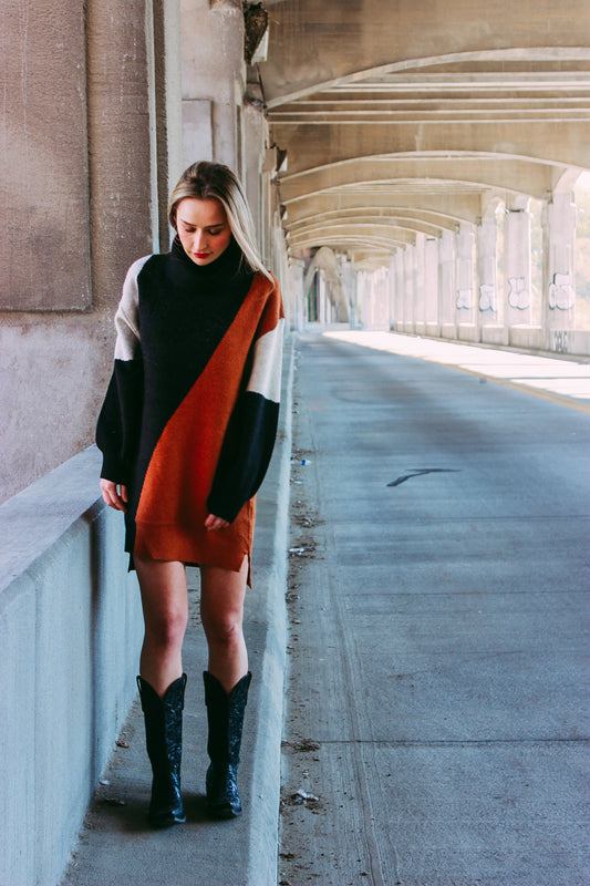 Turtleneck Knit Dress